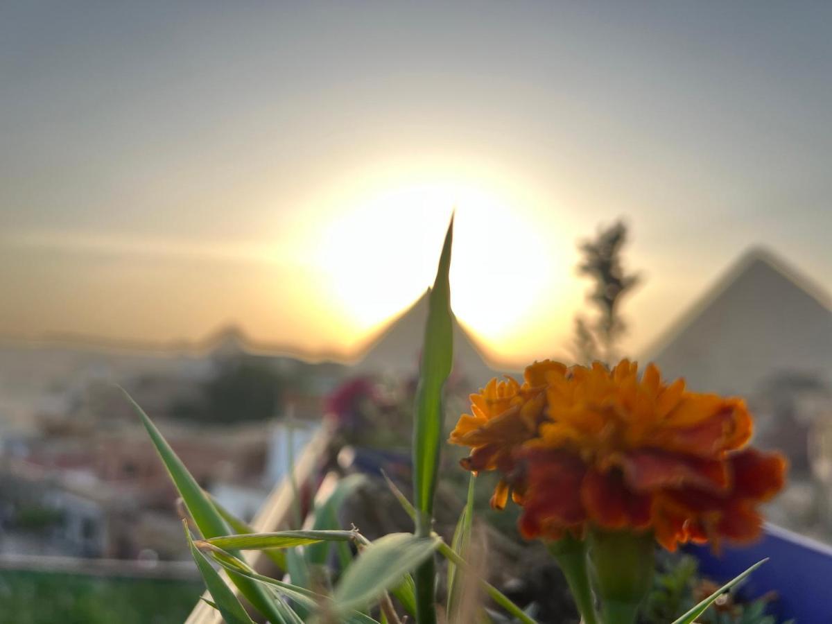 Pyramids Top Success Result Kafret el-Gabal Eksteriør bilde