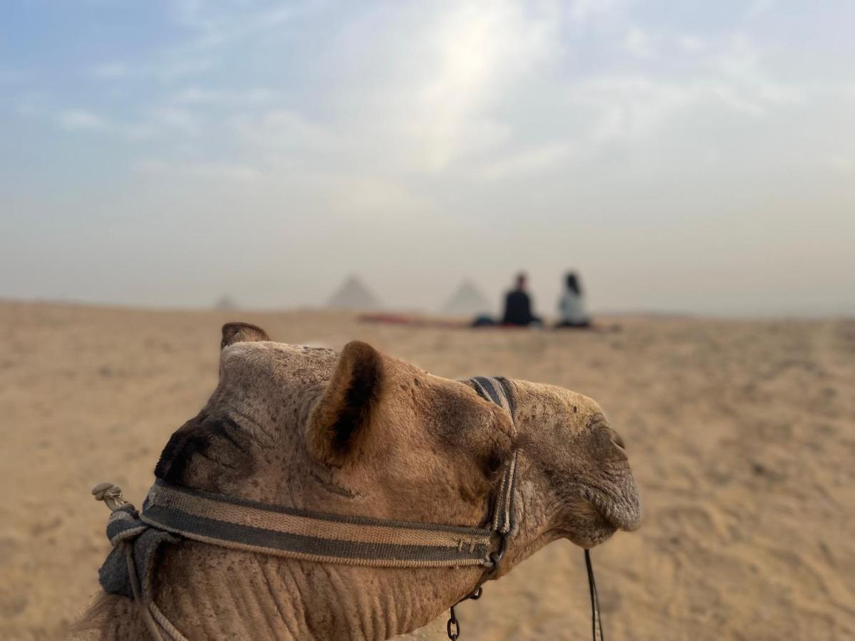 Pyramids Top Success Result Kafret el-Gabal Eksteriør bilde