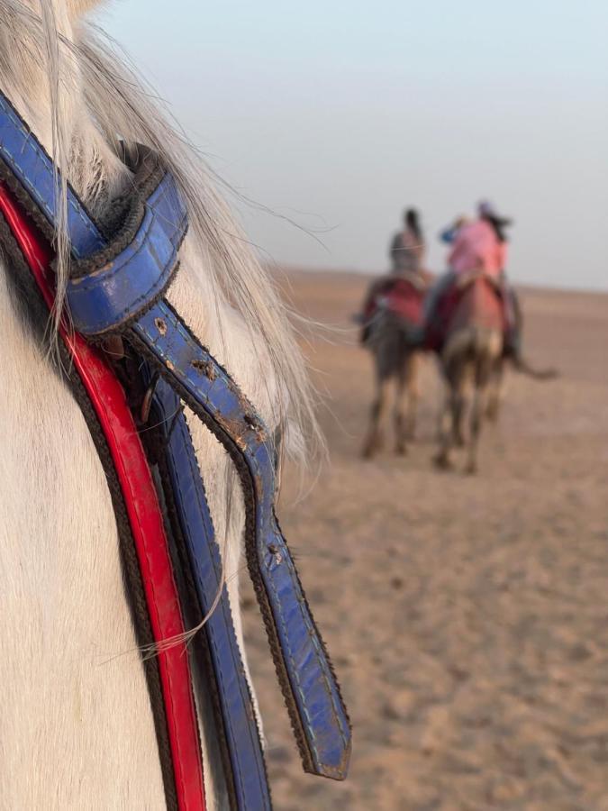 Pyramids Top Success Result Kafret el-Gabal Eksteriør bilde